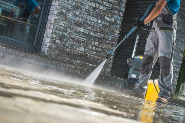 Best Pre-Holiday Cleaning  in Walthourville, GA