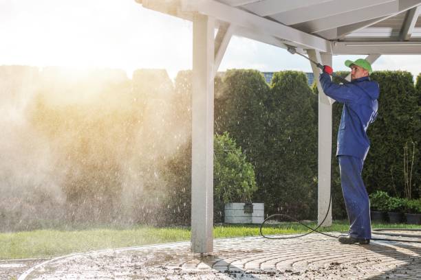 Best Soft Washing  in Walthourville, GA
