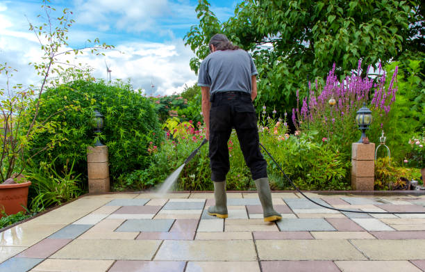Best Driveway Pressure Washing  in Walthourville, GA