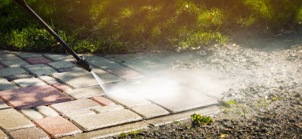 Best Dumpster Area Cleaning  in Walthourville, GA