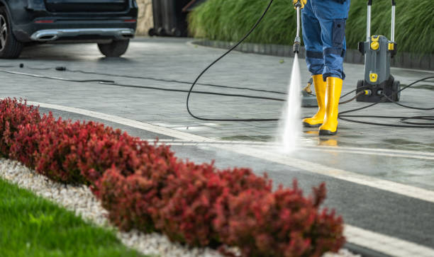 Best Dumpster Area Cleaning  in Walthourville, GA