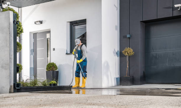 Best Spring Cleaning  in Walthourville, GA